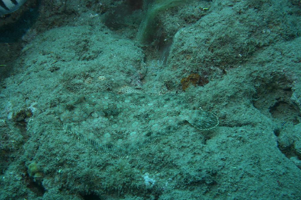 2008-05-17 15-39-36 H.JPG